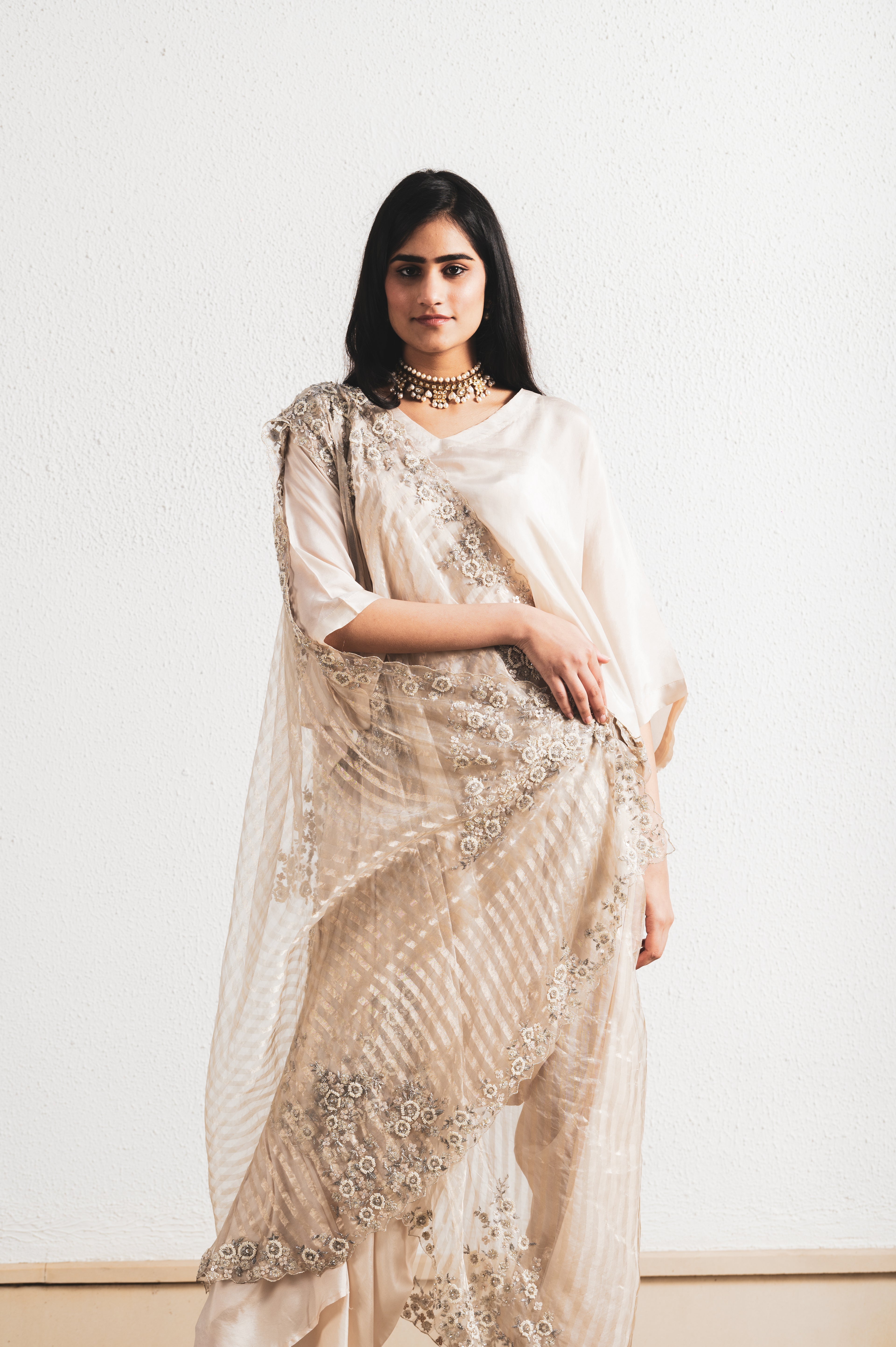 BEIGE EMBROIDERED SAREE