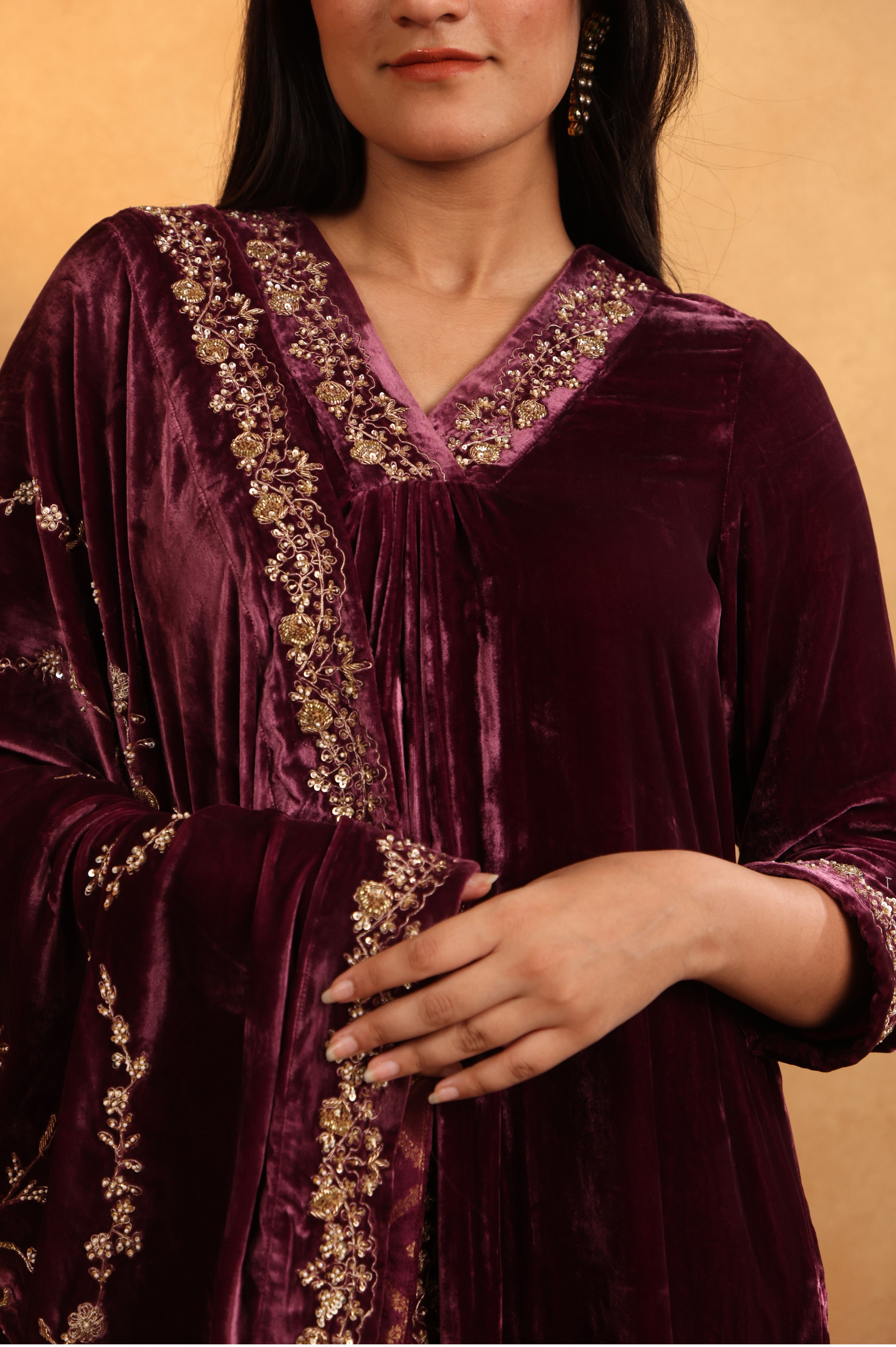 Deep Plum Velvet Embroidered Suit Set