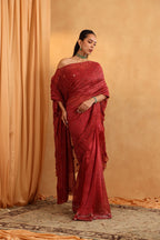 Rust Organza Saree with Embroidered Cape
